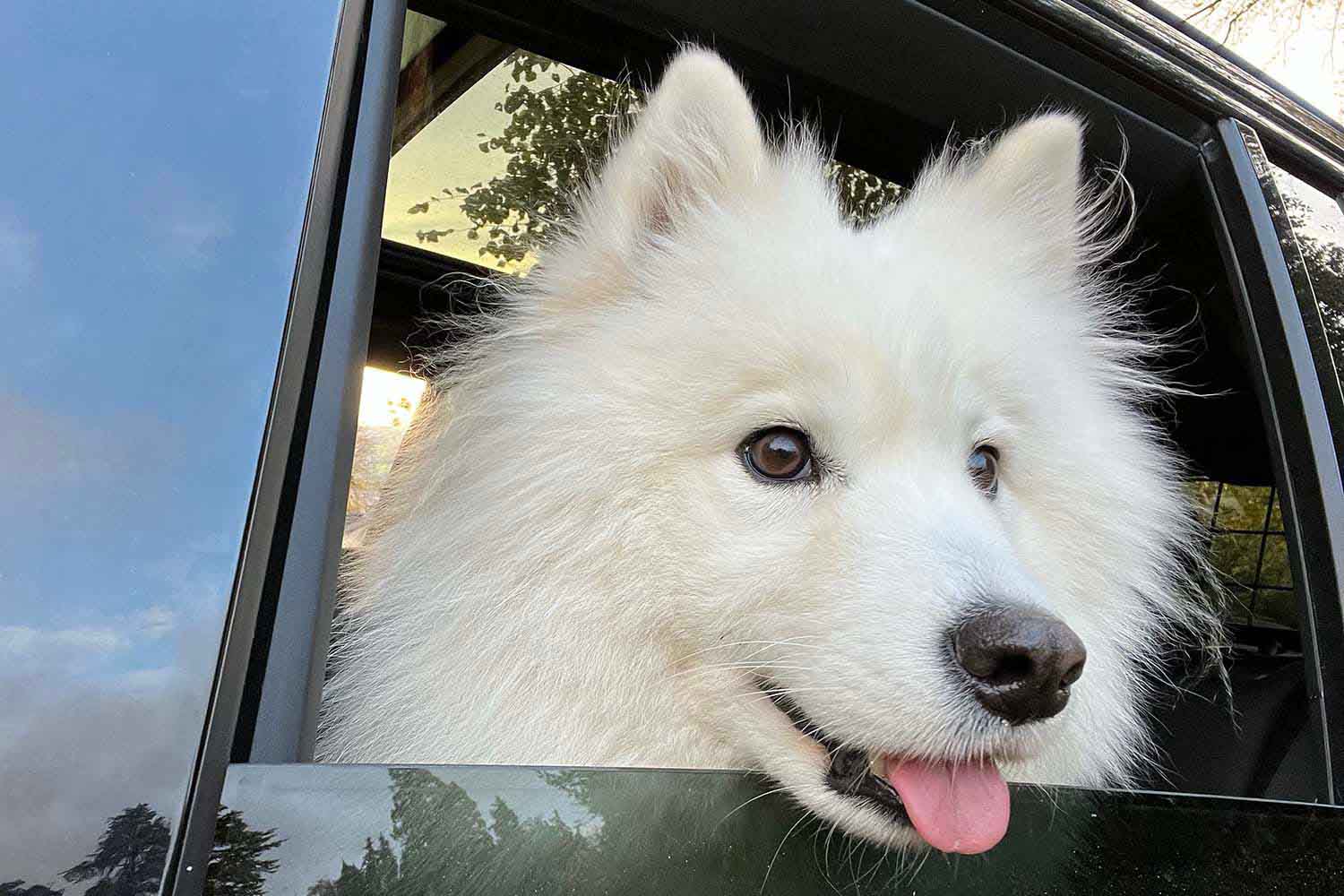 The window of a car.