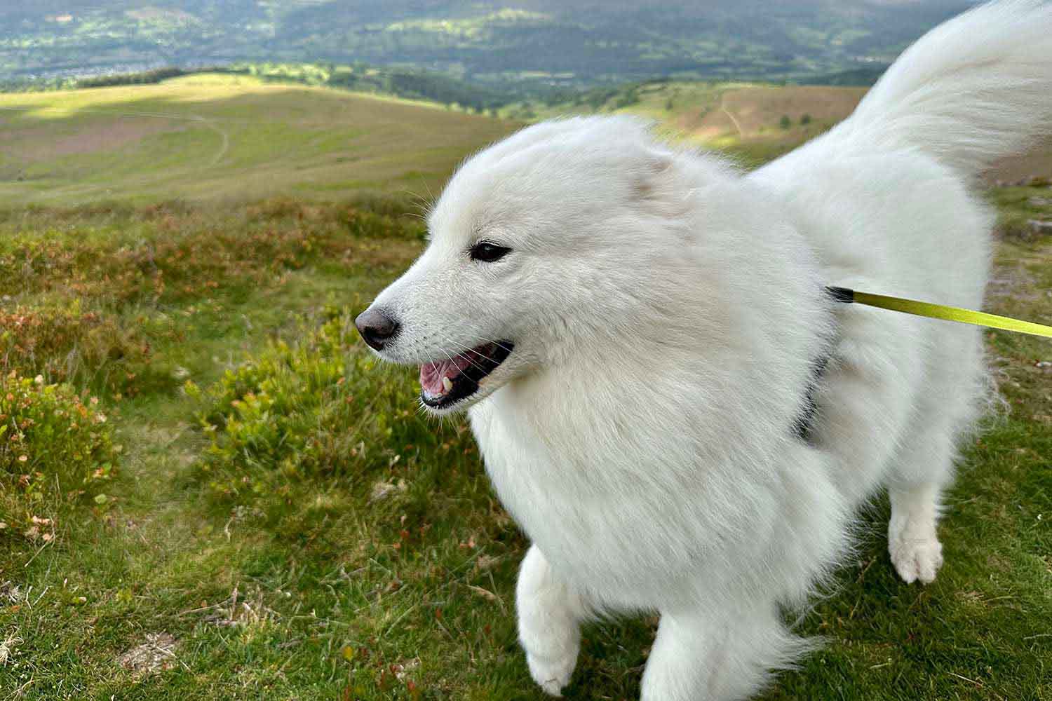 A windy day.